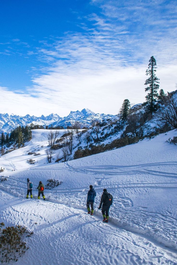 Shimla & Manali Calling – Photo 1