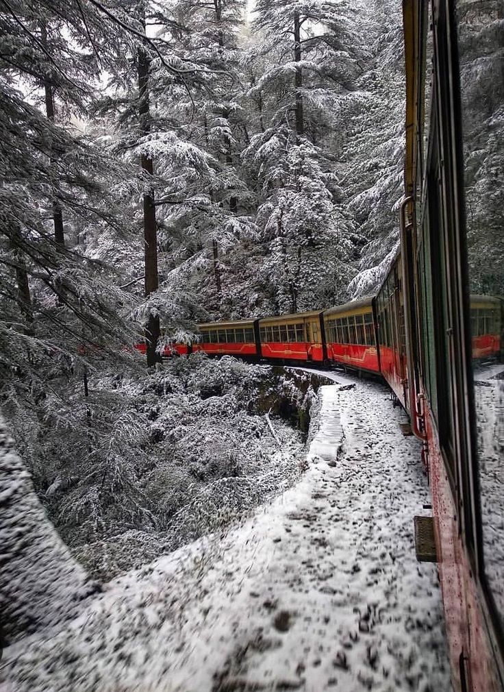Shimla & Manali Calling – Photo 2
