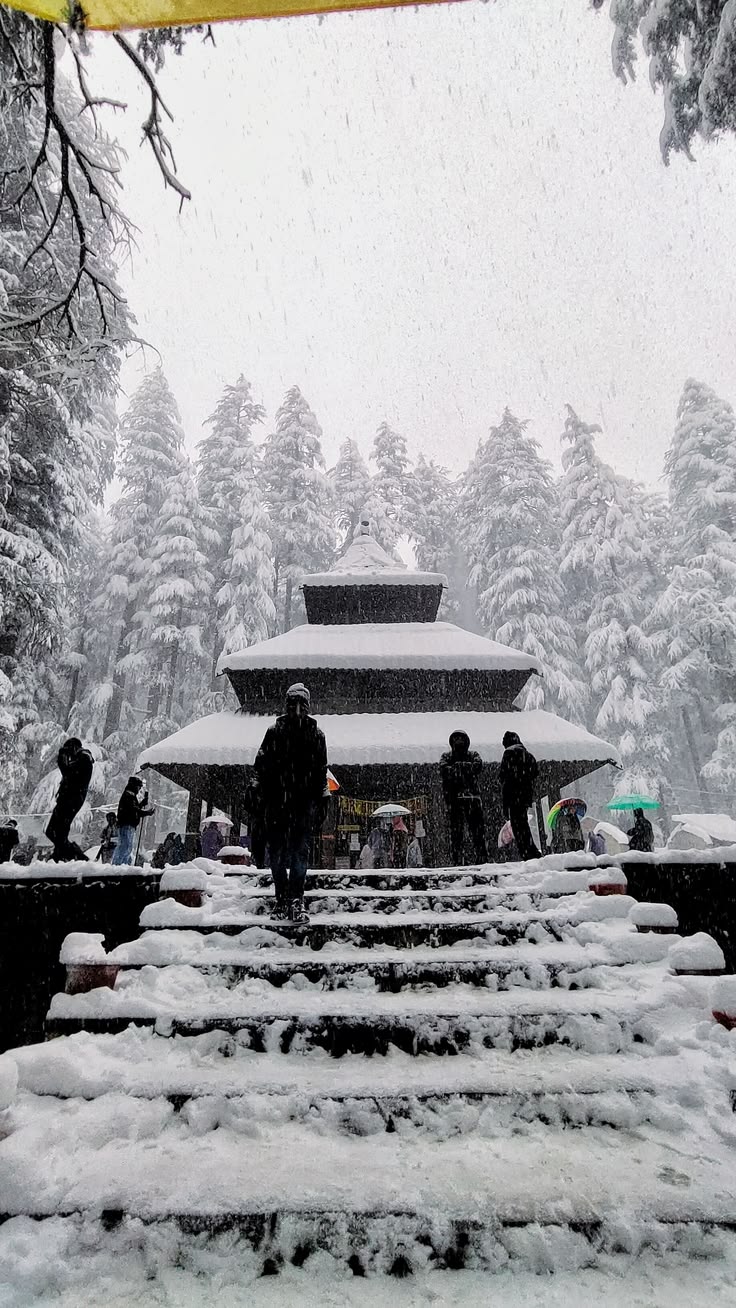 Shimla & Manali Calling – Photo 3