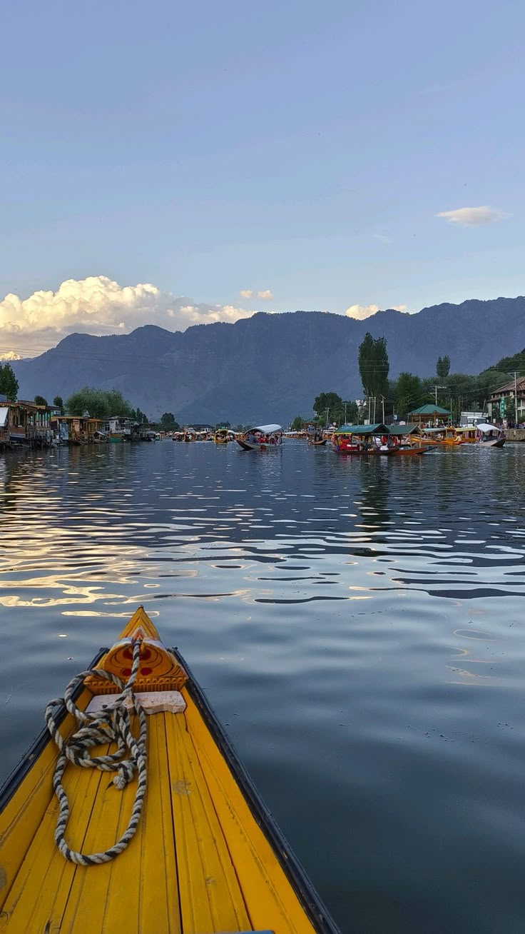 Wild Kashmir Trek – Photo 2