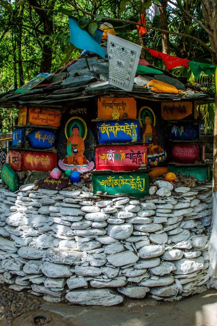The Dharamshala Diary – Photo 1