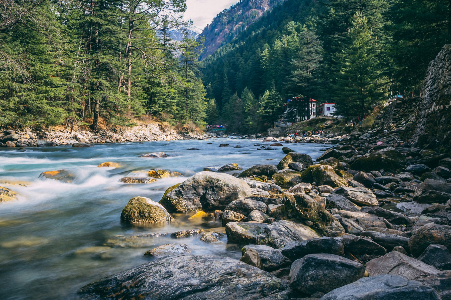 KASOL