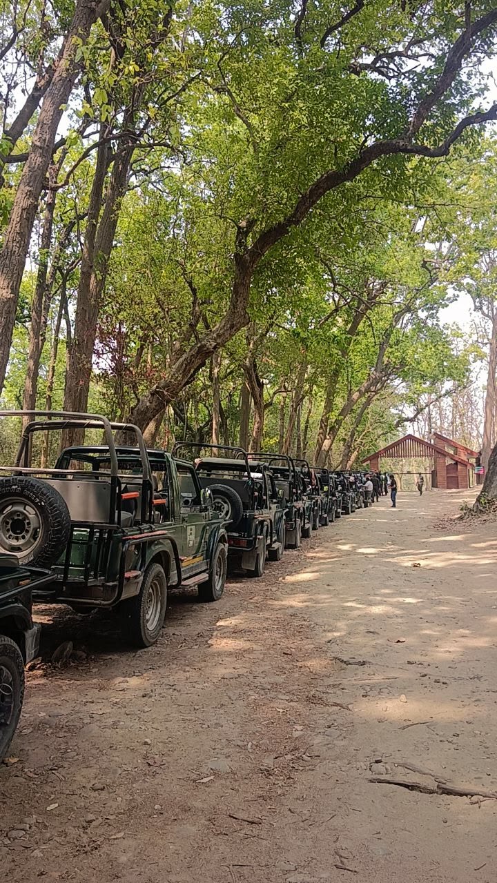 Corbett  Wild – Photo 3