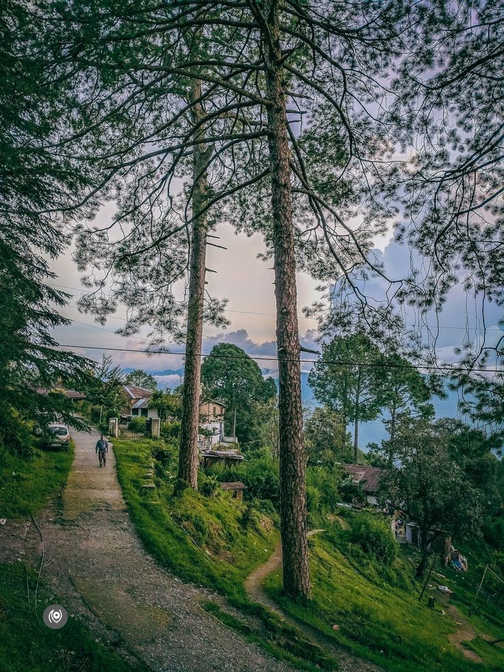 Secrene Uttarakhand – Photo 1