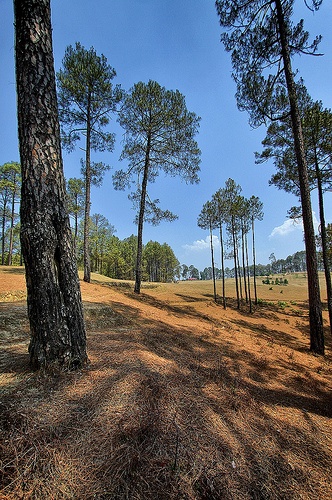 Secrene Uttarakhand – Photo 4